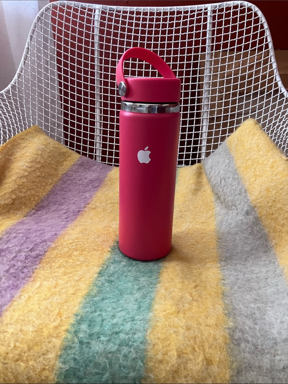 Apple Hot Pink Insulated Bottle with Carry Handle